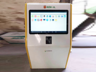 Self-Service Kiosk Embedding